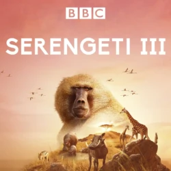 BBC | Narration recording