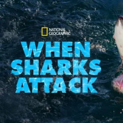 NATIONAL GEOGRAPHIC | Narration recording